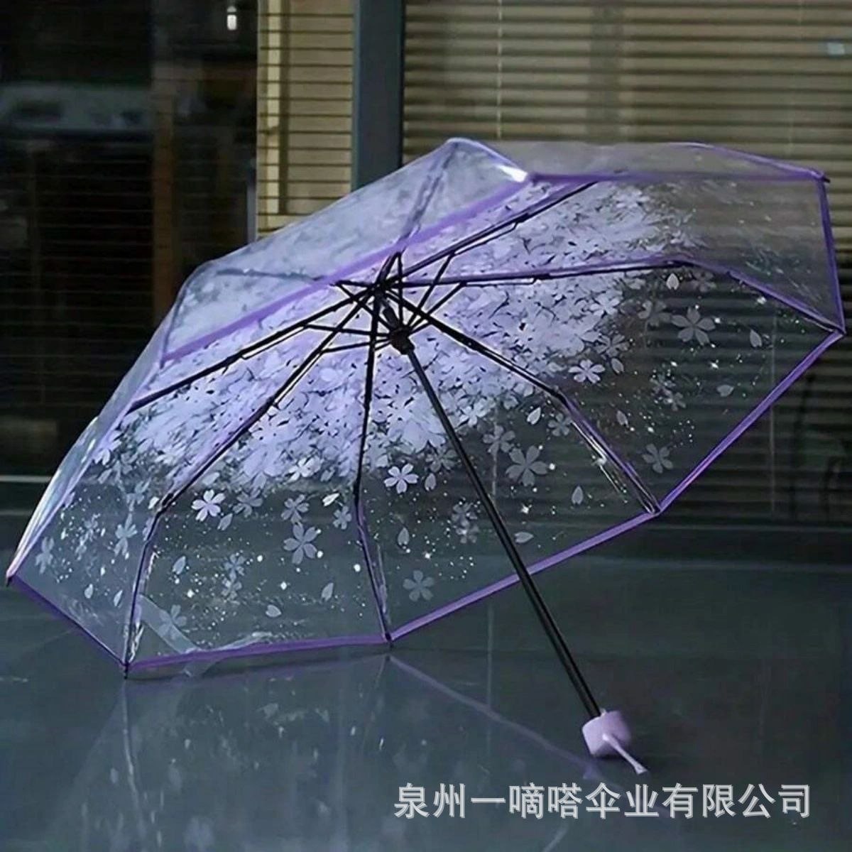 Transparent Umbrella