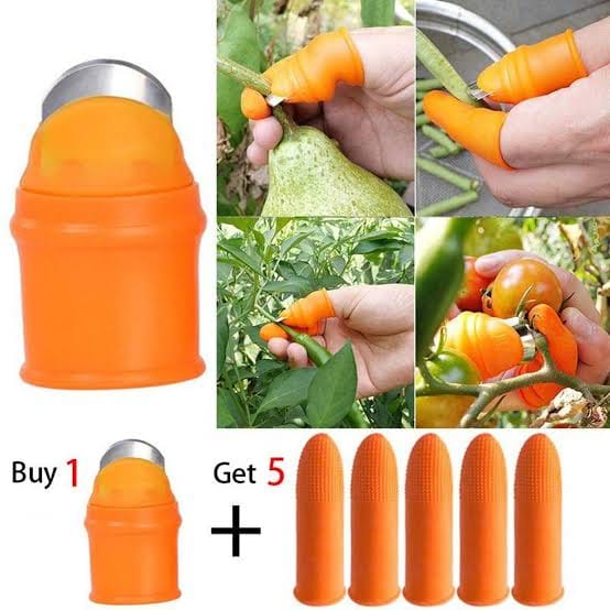 Vegetable Cutter 5 Pcs Set (EDP-3682)