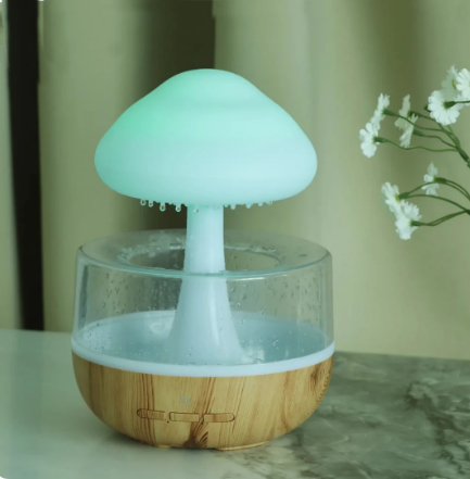D-Rechargeable Rain Cloud Humidifier Mushroom Lamp